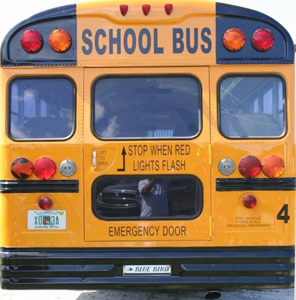 Bus Signs, Graphics and Lettering