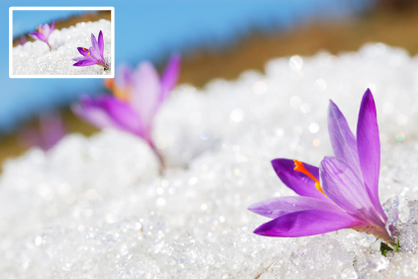 Photo Enlargement in Vero Beach Florida